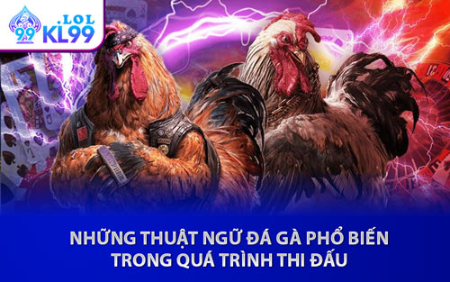 Những Thuật Ngữ Đá Gà Phổ Biến Trong Quá Trình Thi Đấu